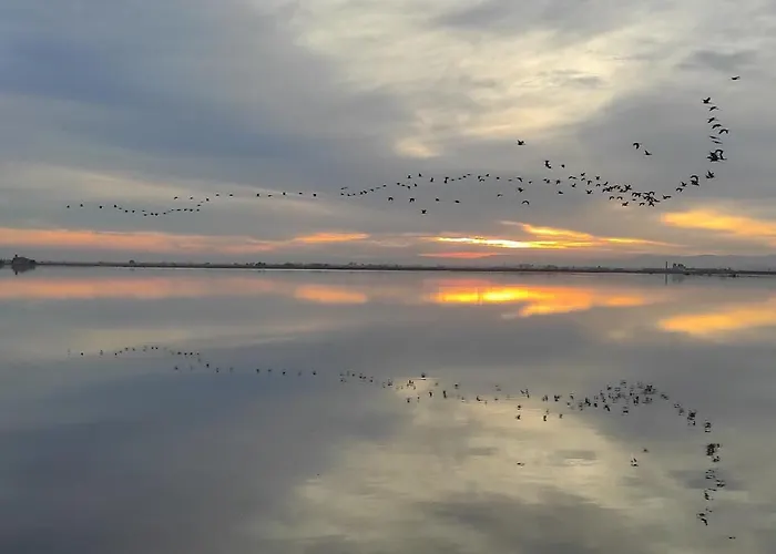Apartment Mi Pequena Terraza *