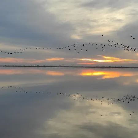 Apartamento Mi Pequeña Terraza *
